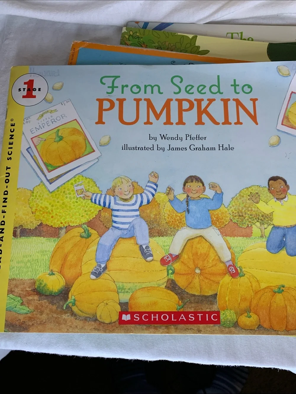 Scholastic Childrens book Bundle